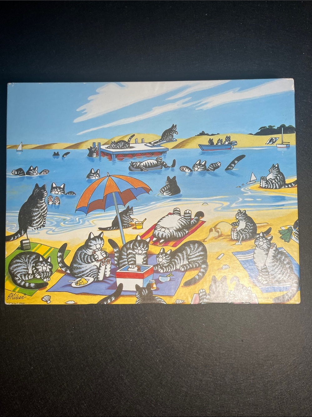 Vintage 1984 Springbok Kliban Cat Days of Summer 500 Pc Complete Hallmark